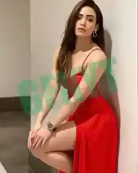 Call Girl in Amritsar Provides High Quality Pleasure
